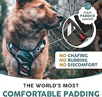 Vista 6 de Embark Urban - Arnés para perro sin tirones para perros pequeños, medianos y grandes. 2 clips para correa, parte delantera y trasera con asa