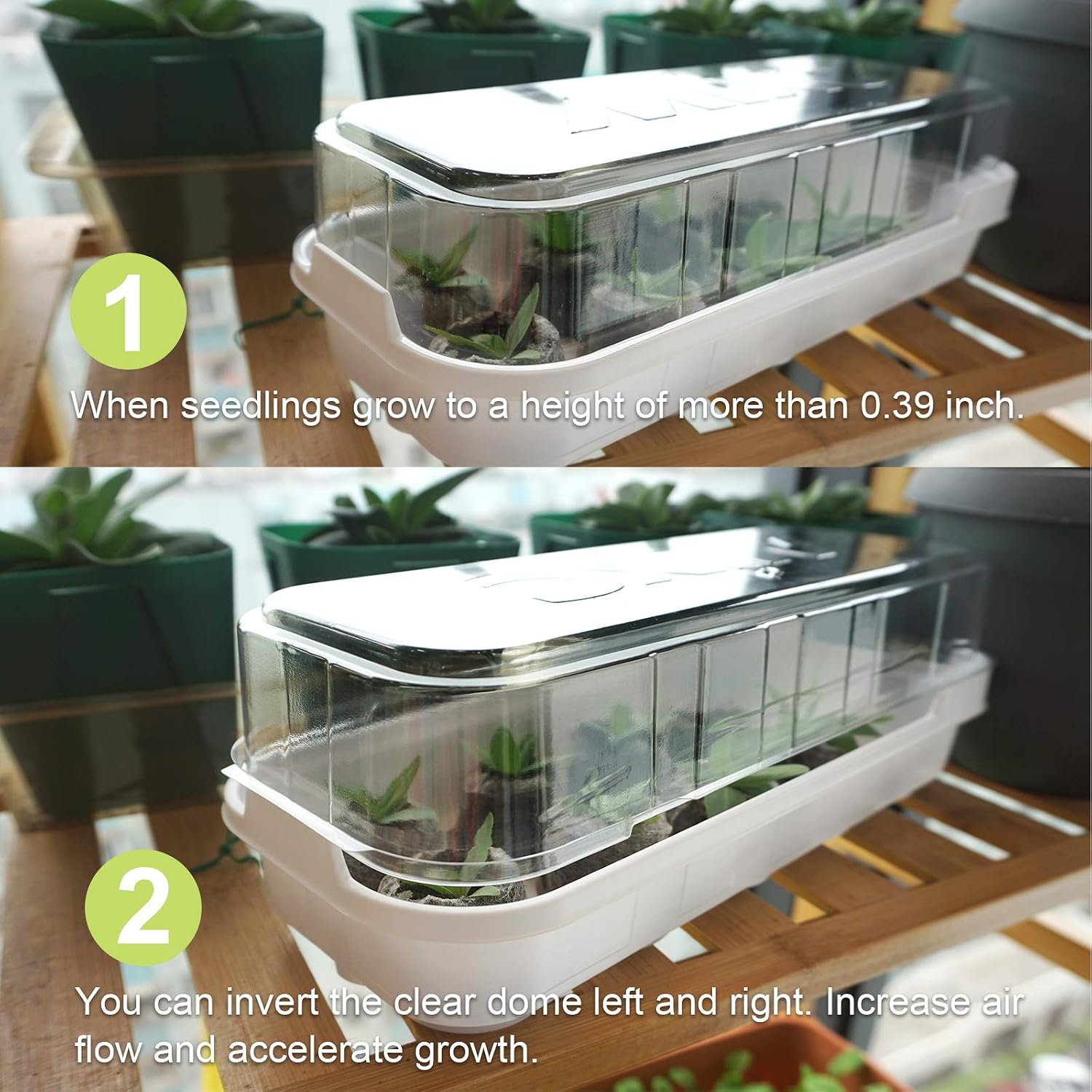 MIXC 5-Pack Mini Seed Starter Kit Sturdy Windowsill Greenhouse Trays with Cover Dome, with Instructions, for 36mm Peat Pellets Indoor/Outdoor Gardening