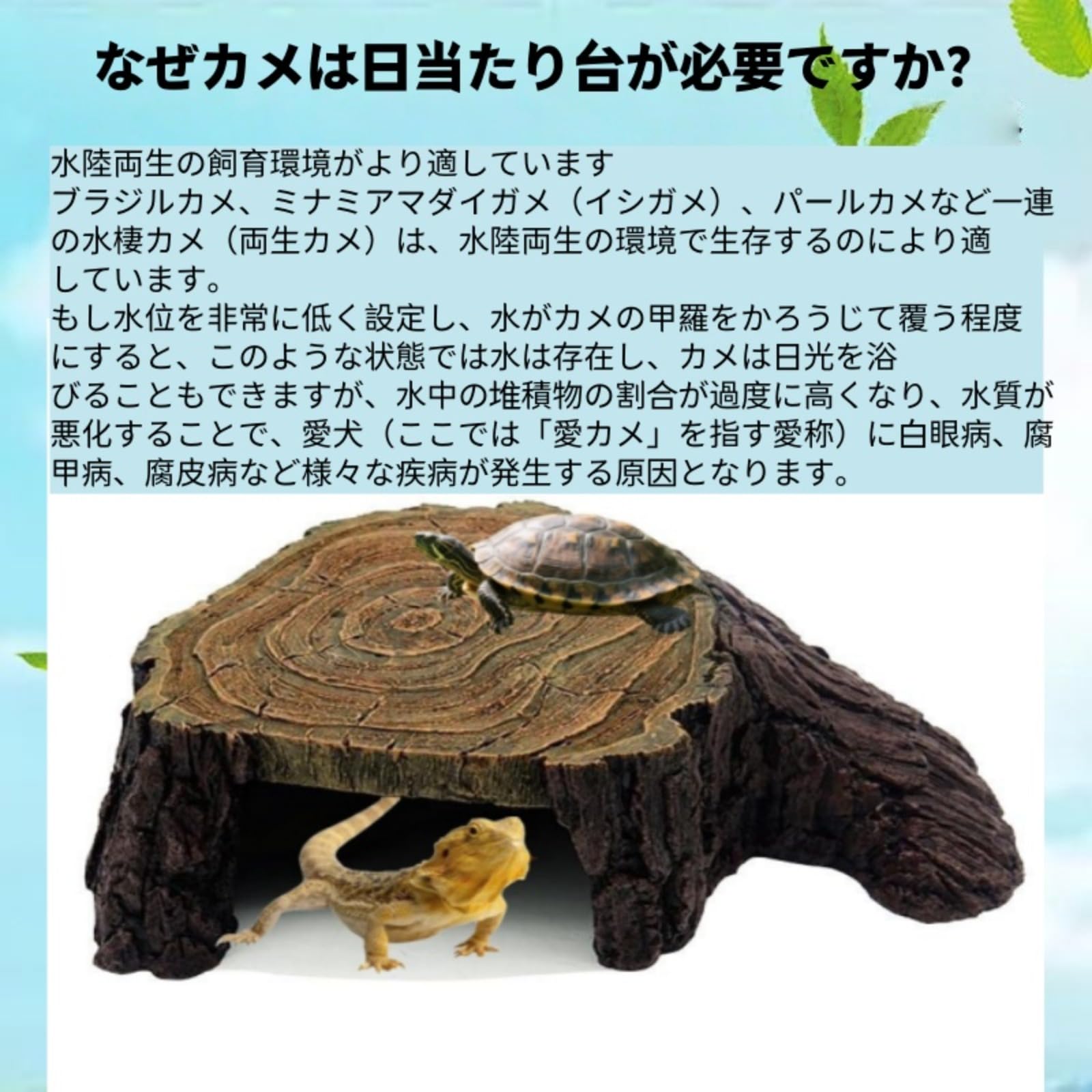 Amazon | Foivozs 特大サイズ 爬虫類 シェルター 亀 シェルター レオパ