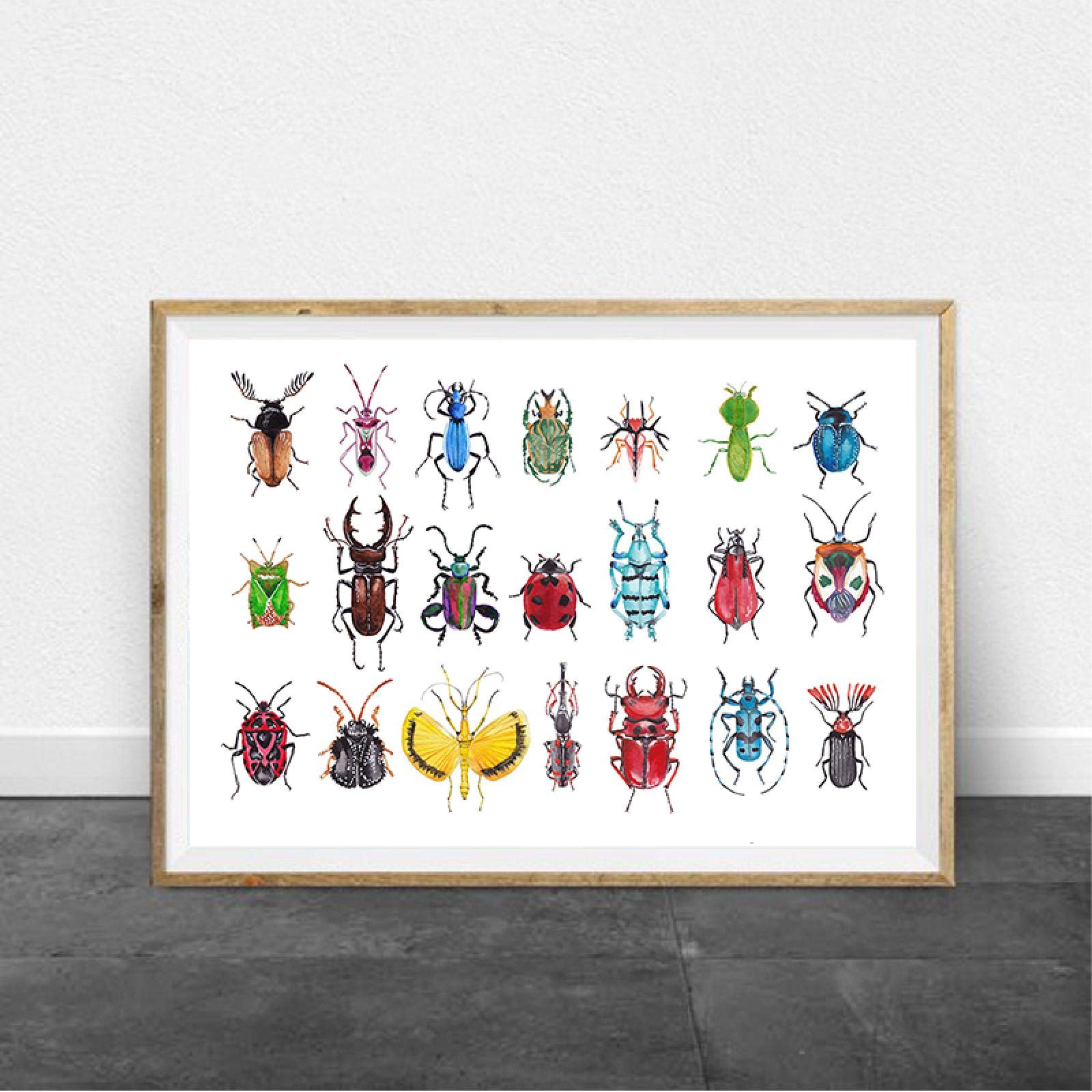 Amazon.co.jp: 水彩昆虫アートカブトムシコレクションイラストプリント