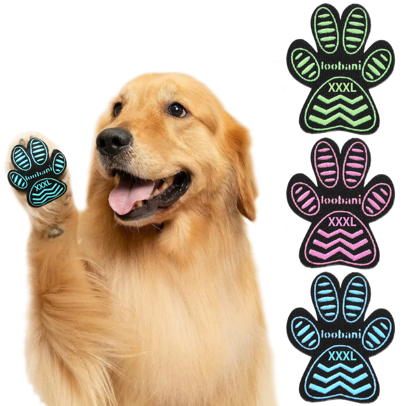 Why Does My Dog Keep Slipping