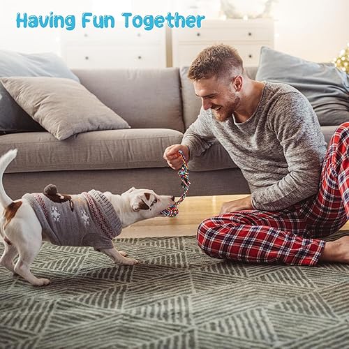 Miniatura 7 de Depets Juguete de cuerda para perro, 4 unidades surtidas de juguetes masticables para cachorros, juguete duradero con nudo de cuerda, juguetes de