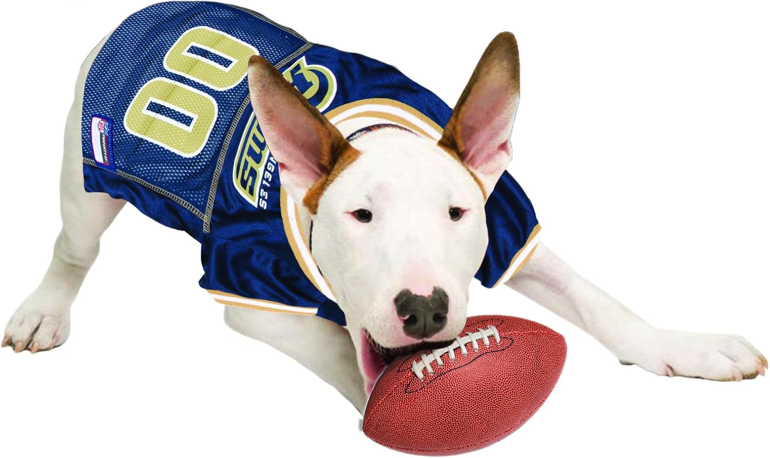 jackets for whippets