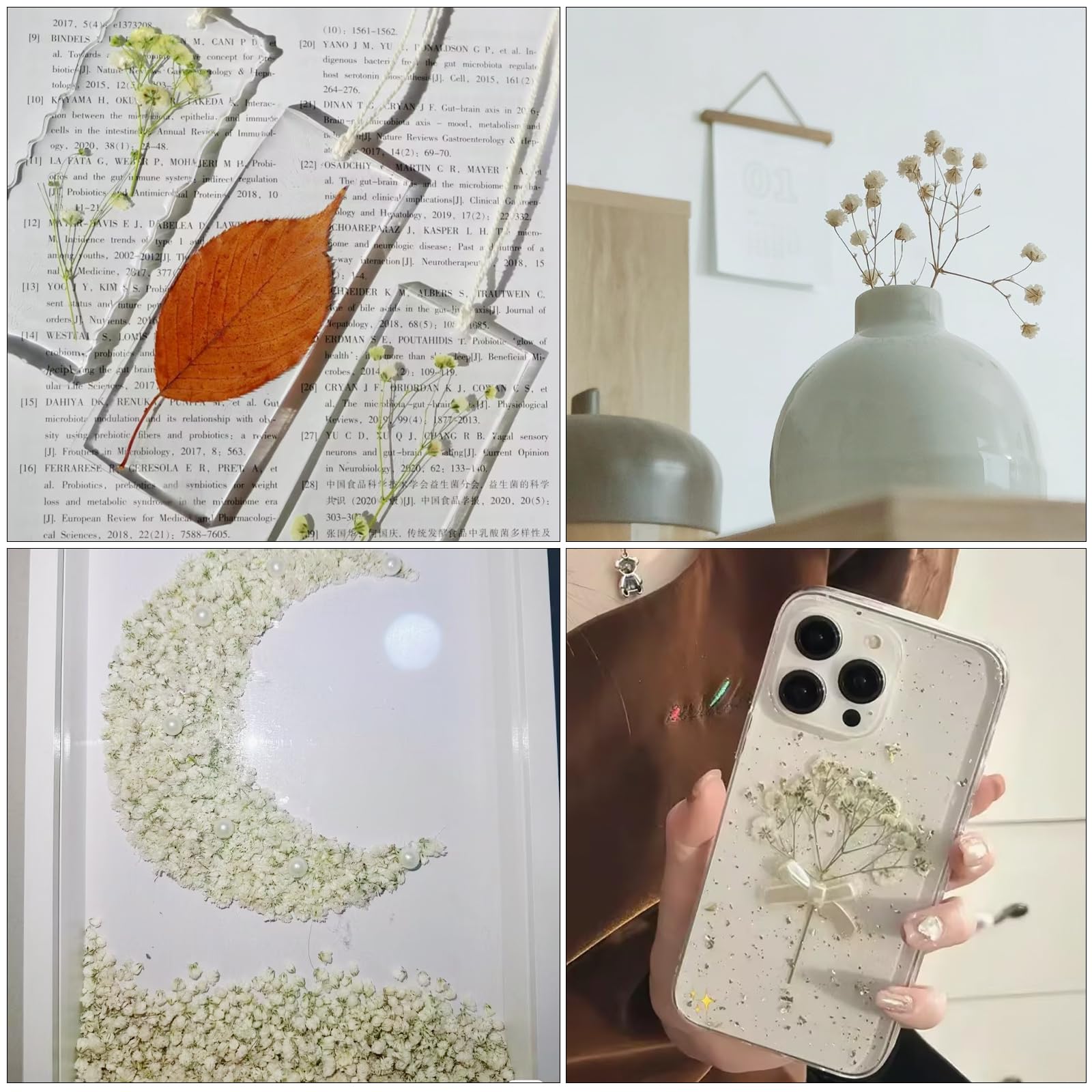 Gypsophila Essiccata Fiori Secchi Decorativi Bianca Naturali 120pcs do Artigianato Fai-da-te