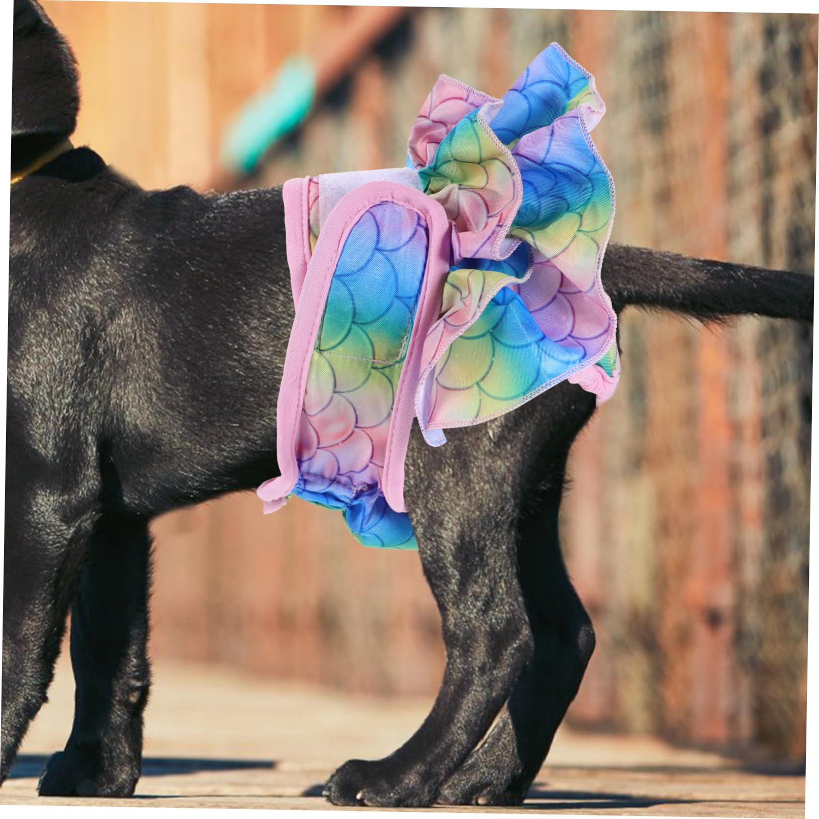 minkissy 4 Pantalones fisiológicos para Mascotas, para Perros machos, Pantalones de acoso para Perros, Pantalones físicos para Perros, Bragas sanitarias para Mascotas, Pantalones de Calor para