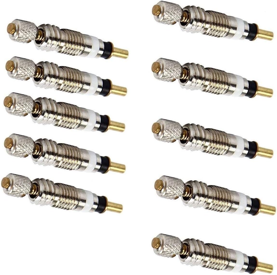 Kit Valvole Presta Per Bici - 10 Pezzi Con Inserti, Dadi E Tappi - Acciaio Inox, Universali Per Mountain Bike E City Bike