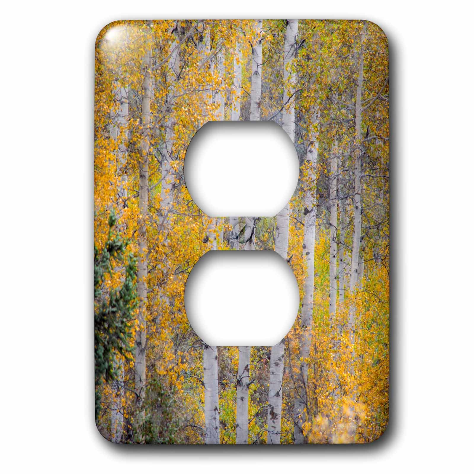 Coque 2 plug outlet motif Fall Snowstorm Aspen arbres Grand Teton
