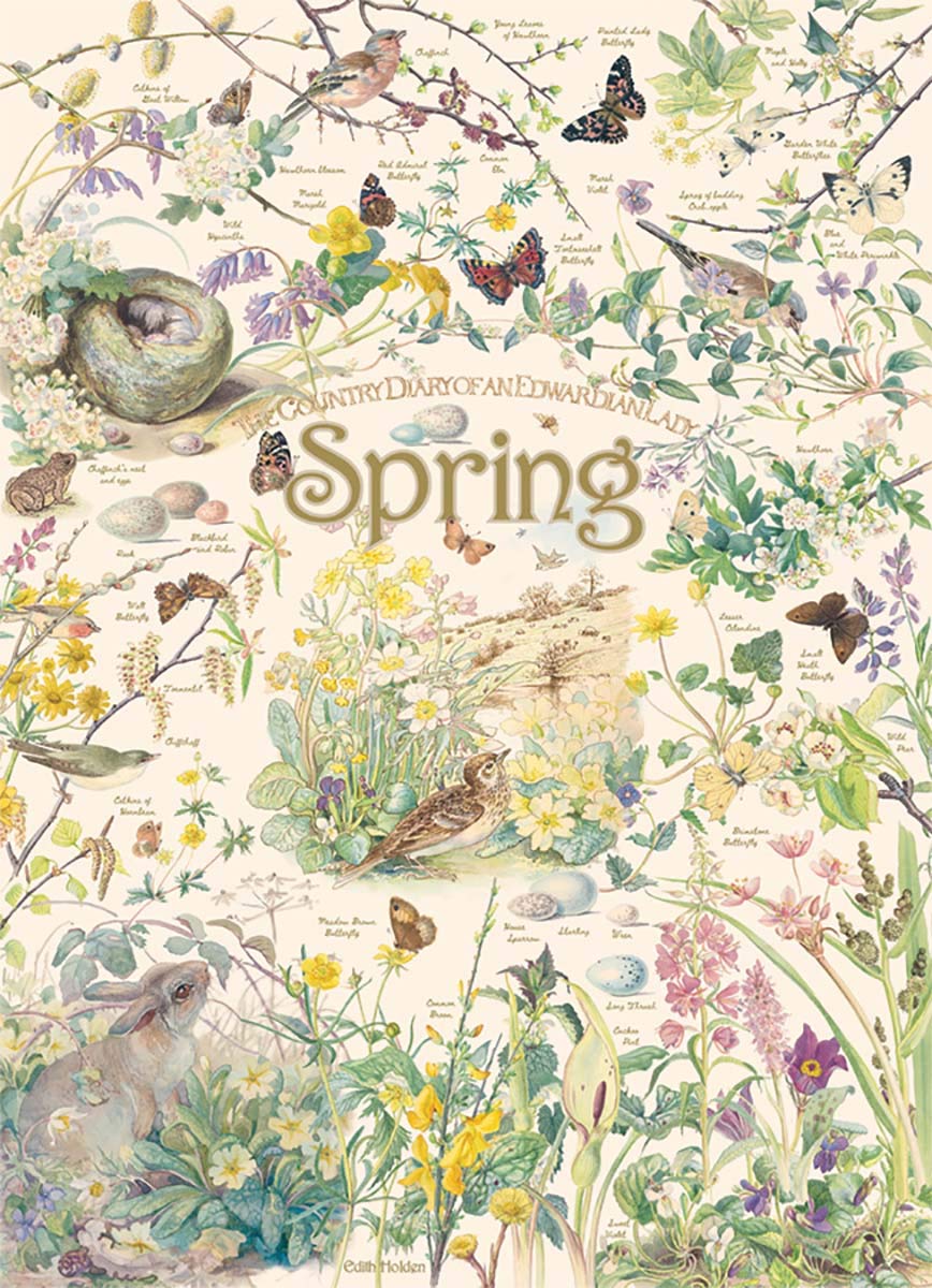 1000 Piece Puzzle - Country Diary: Spring - Sample Poster Included