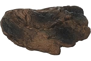 Naturalistic Terrarium Magnetic Ledge