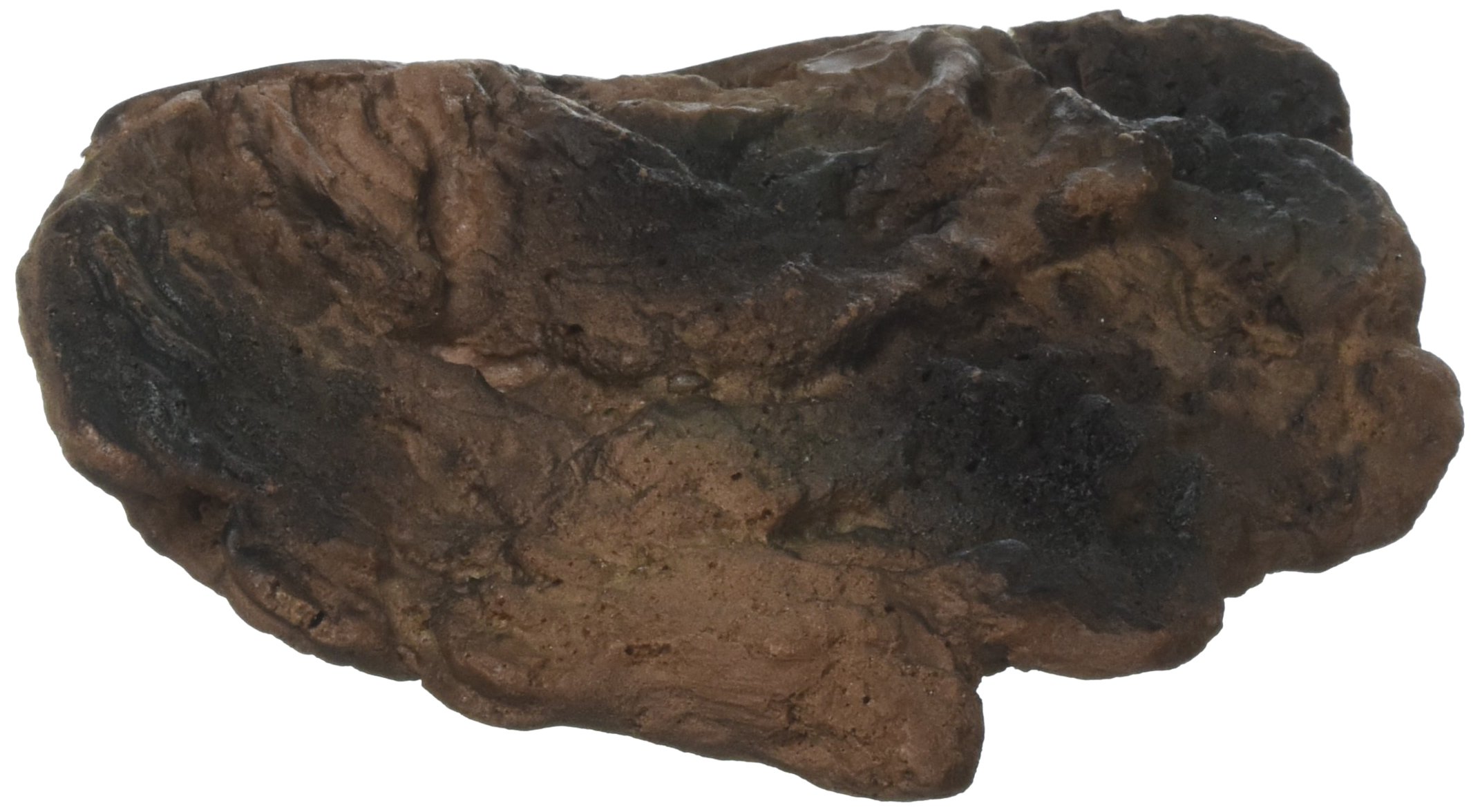 Naturalistic Terrarium Mushroom Ledge