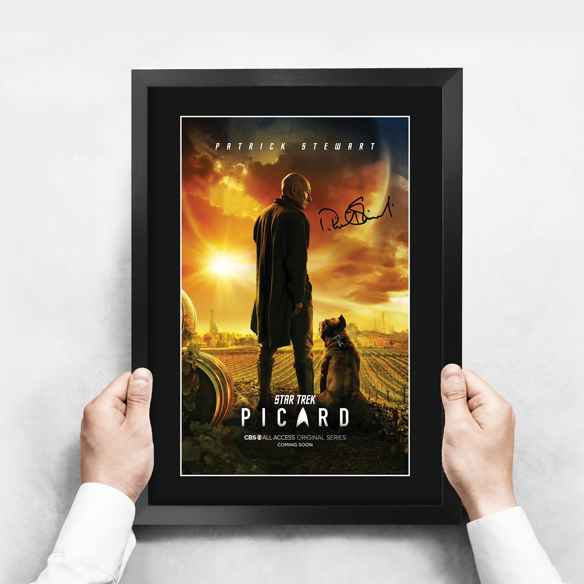 スタートレック　ピカード　パトリック　スチュワート　サイン入り　エンタープライズ スタートレック ピカード パトリック スチュワート サイン入り