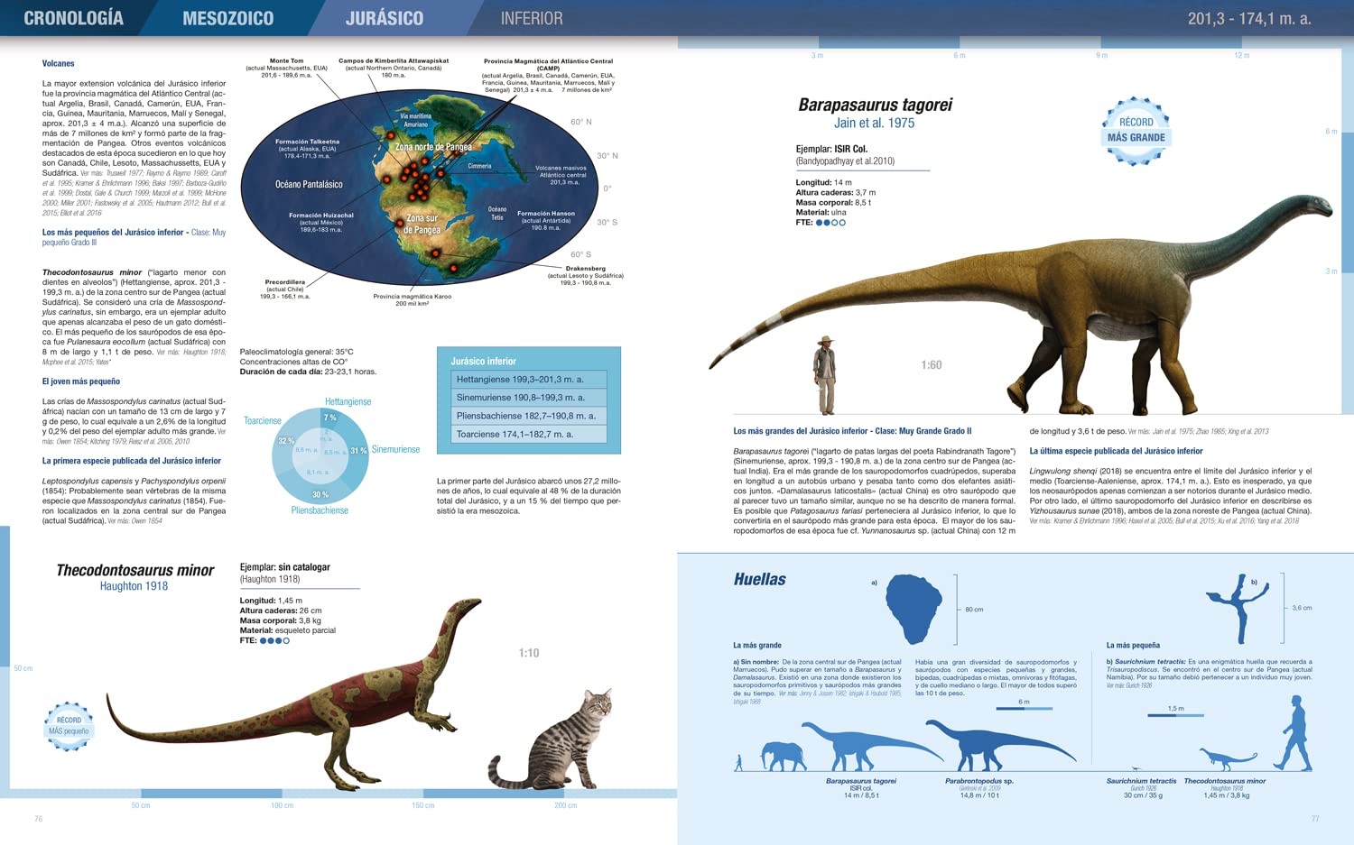 Récords y curiosidades de los dinosaurios. Saurópodos y otros sauropodomorfos
