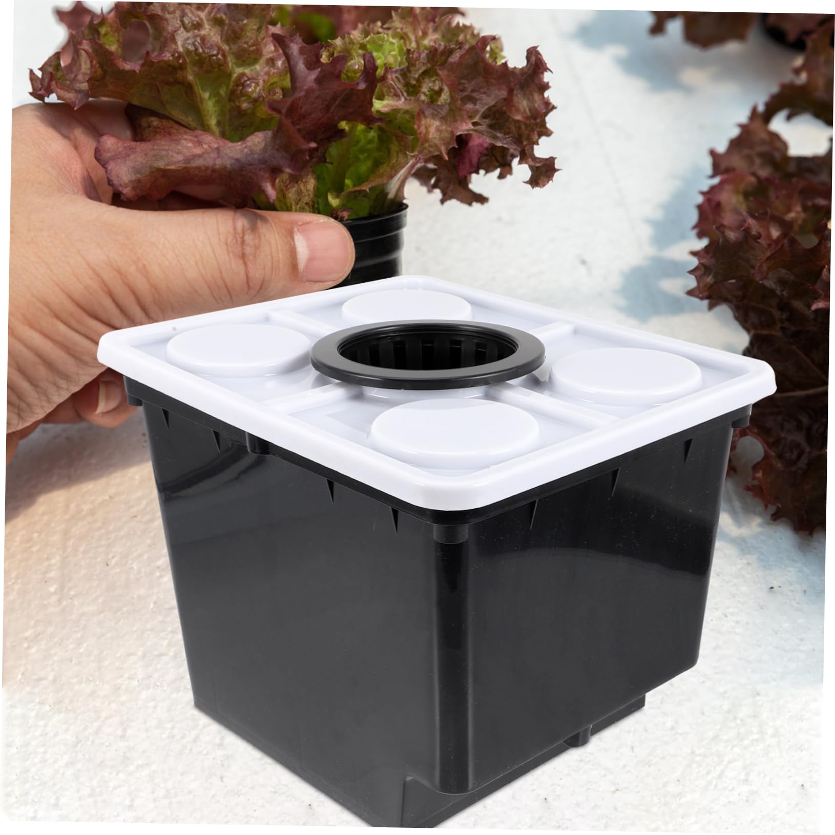 Secchio Idroponico senza Terriccio Nero in Plastica per Coltivazione | Sistema Pratico per Piante Verdi e Fiori, Uso in Vivaio e Hotel, Vaso per Crescita in Serra