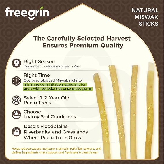 Miswak Sticks for Teeth Pack of 7 | Sewak Sticks for Teeth | Vacuum Sealed Traditional Siwak Natural Miswak Toothbrush | for Healthy Teeths,Gums and Fresh Breath(Clove Flavor)