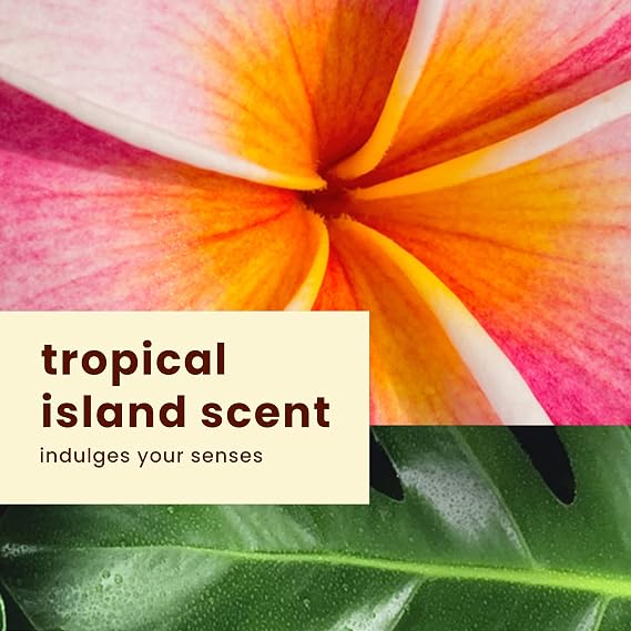 Hawaiian Tropic Silk Hydration Weightless Sunscreen Pack - SPF 30 Broad Spectrum Sunscreen Lotion (6oz) & Face Lotion (1.7oz)