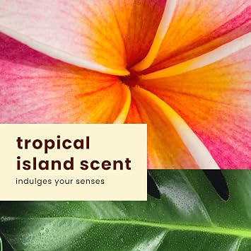 Hawaiian Tropic Silk Hydration Weightless Sunscreen Pack - SPF 30 Broad Spectrum Sunscreen Lotion (6oz) & Face Lotion (1.7oz)