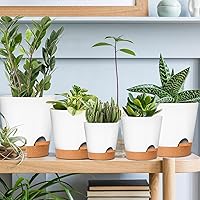 Vista 27 de GARDIFE 10/9/8 inch Plant pots, planters for Indoor Plants, self Watering Plant Pot, Flower pots, Black
