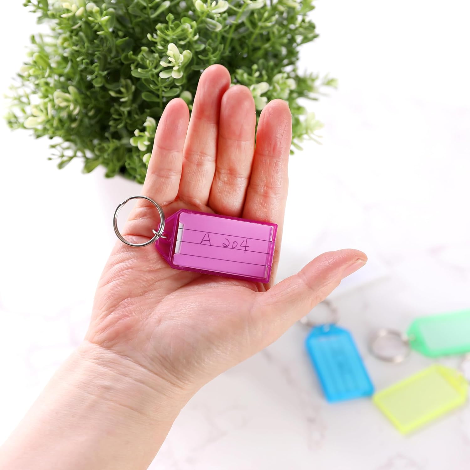 BAZIC Products Key Tag Label Window, Assorted Color Tags, Plastic Key Holder Key Ring, Identifier Name Number Address Information Label Card (6/Pack), 24-Packs