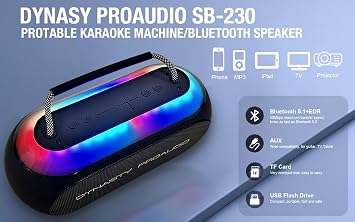 Dynasty ProAudio SB-230 Portable Bluetooth Speaker/Karaoke Machine with Two Wireless Microphones, Waterproof, Supports for USB, AUX, TF-Card, Color Change LED Lights (Black)