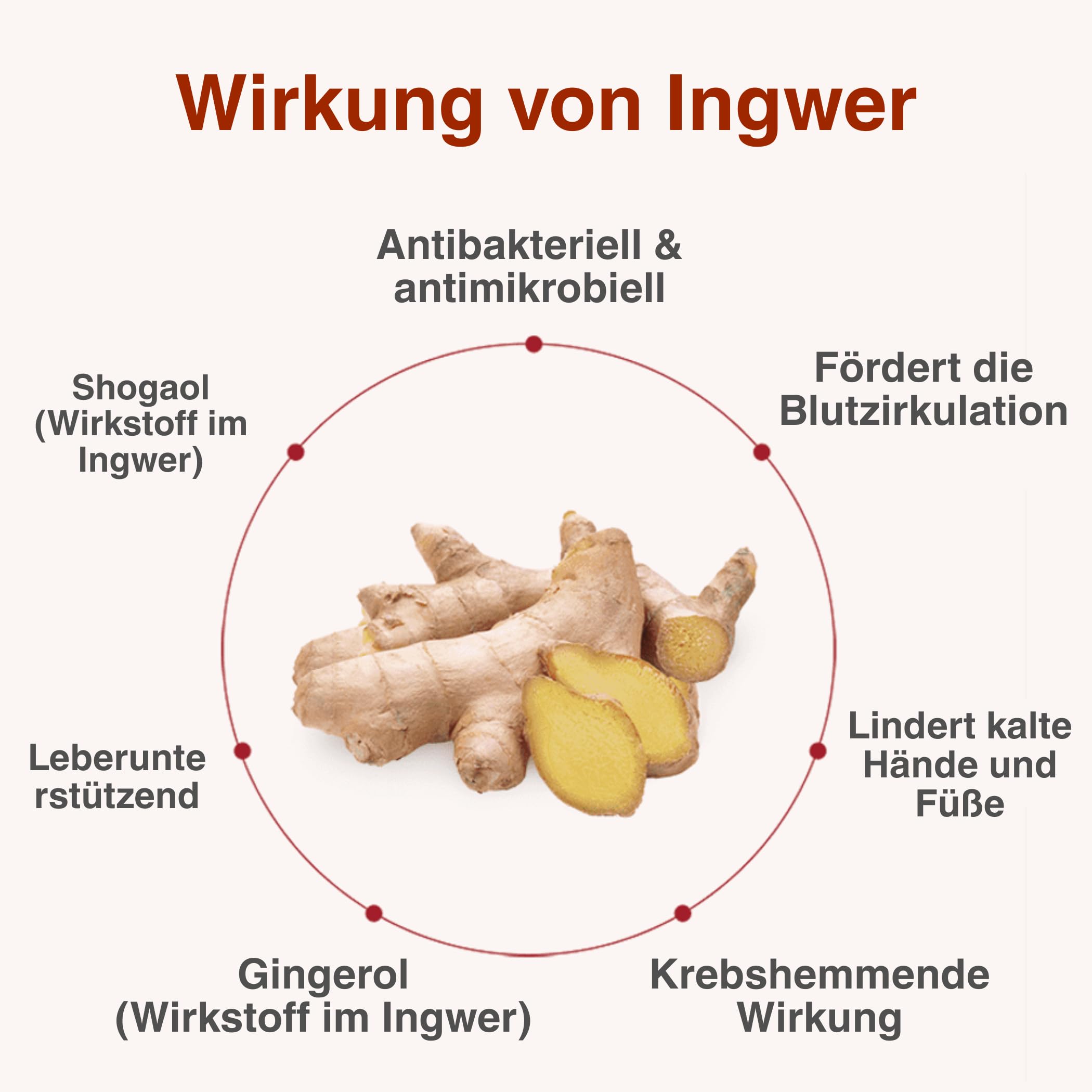 CHARMDEN Ingwer-Jujube Tee | 100 ml x 30 Beutel | Nur mit Ingwer, Jujube & Wasser | Stärkt Immunsystem & Kreislauf | Gegen Kälte & Müdigkeit | Ohne Zuckerzusatz – Koreanisches Hausmittel