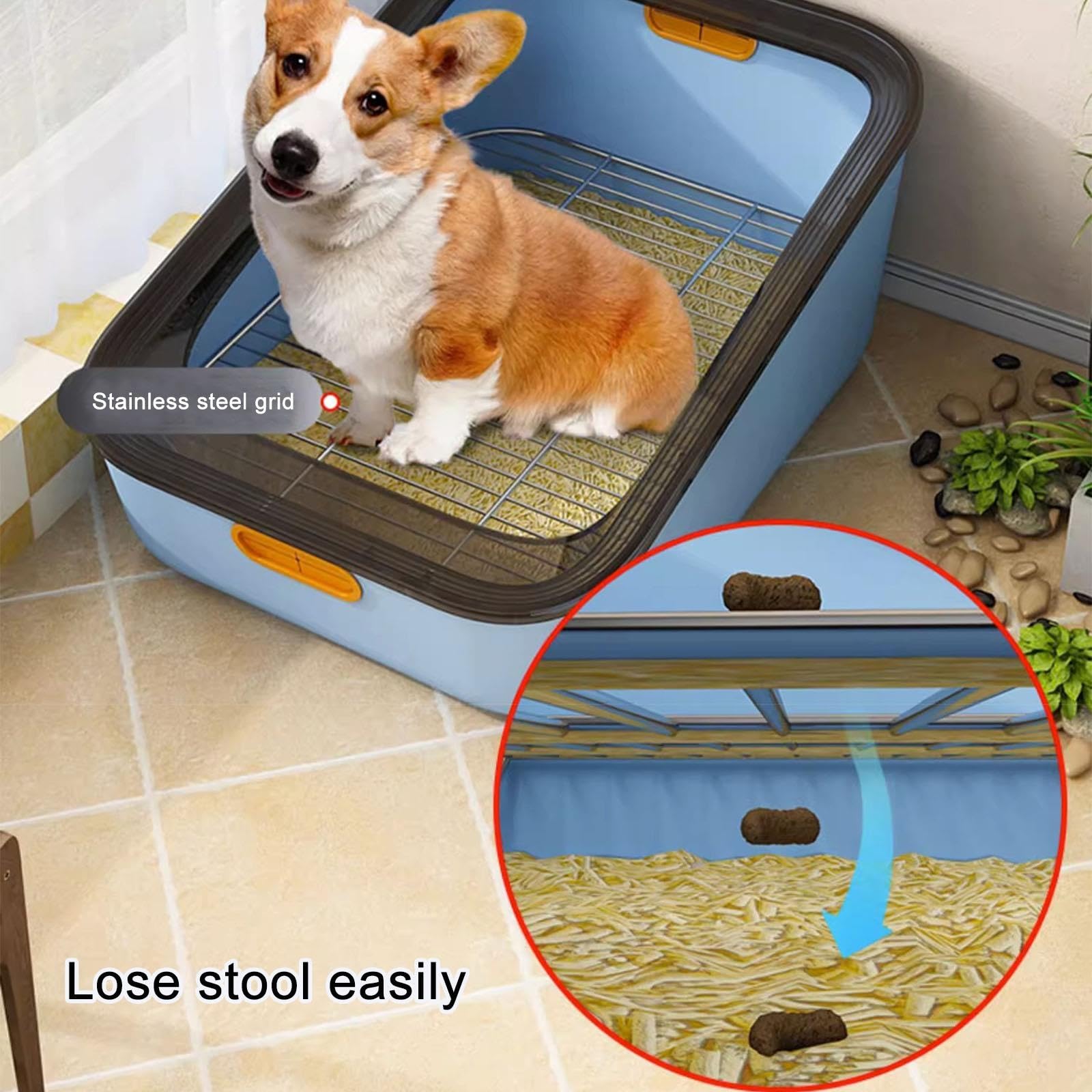 Hundetoilette mit Hohen Wänden und Klappbarem Halter