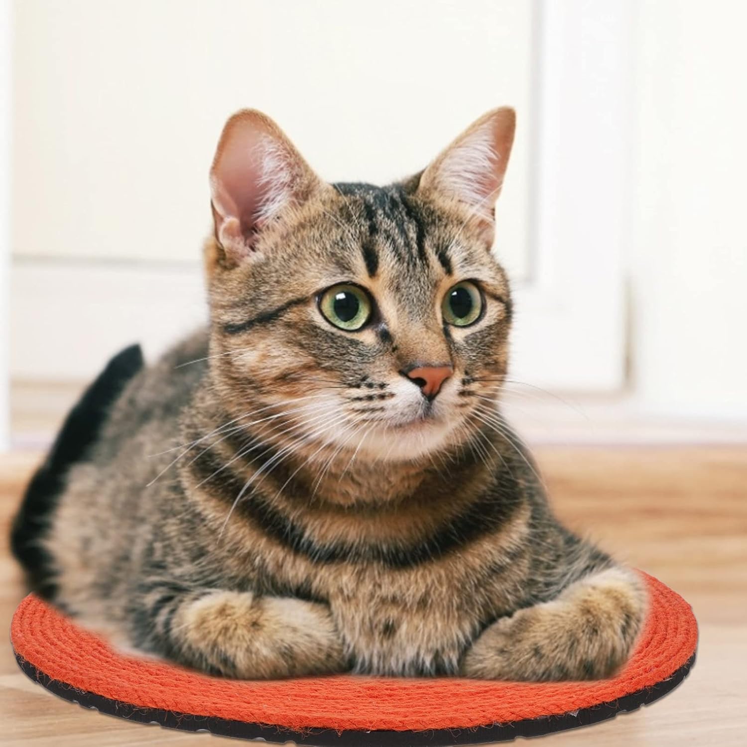 review balacoo Indoor Toys Cat Scratching Mat Cat Scratcher Pad Orange Shaped Scratching Board Cat Cardboard Accessaries for Pet Cats Floor Carpet