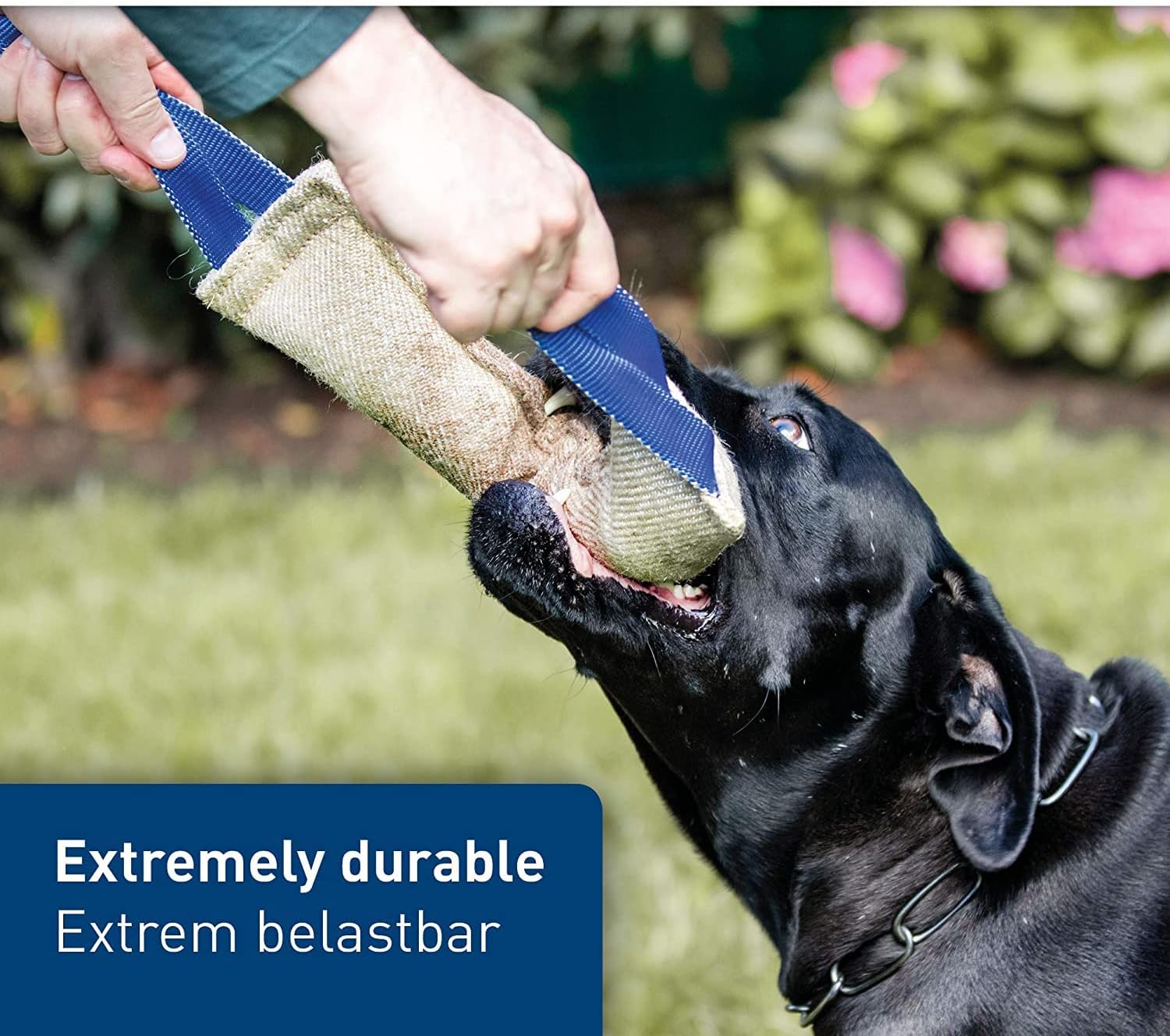 Herm Sprenger - Jute Dog Tug Toy - Jute Dog Training Tool with 2 Handles for Training, Interactive Play, Tough Tug of War, for Small Medium Large Breeds (Small)