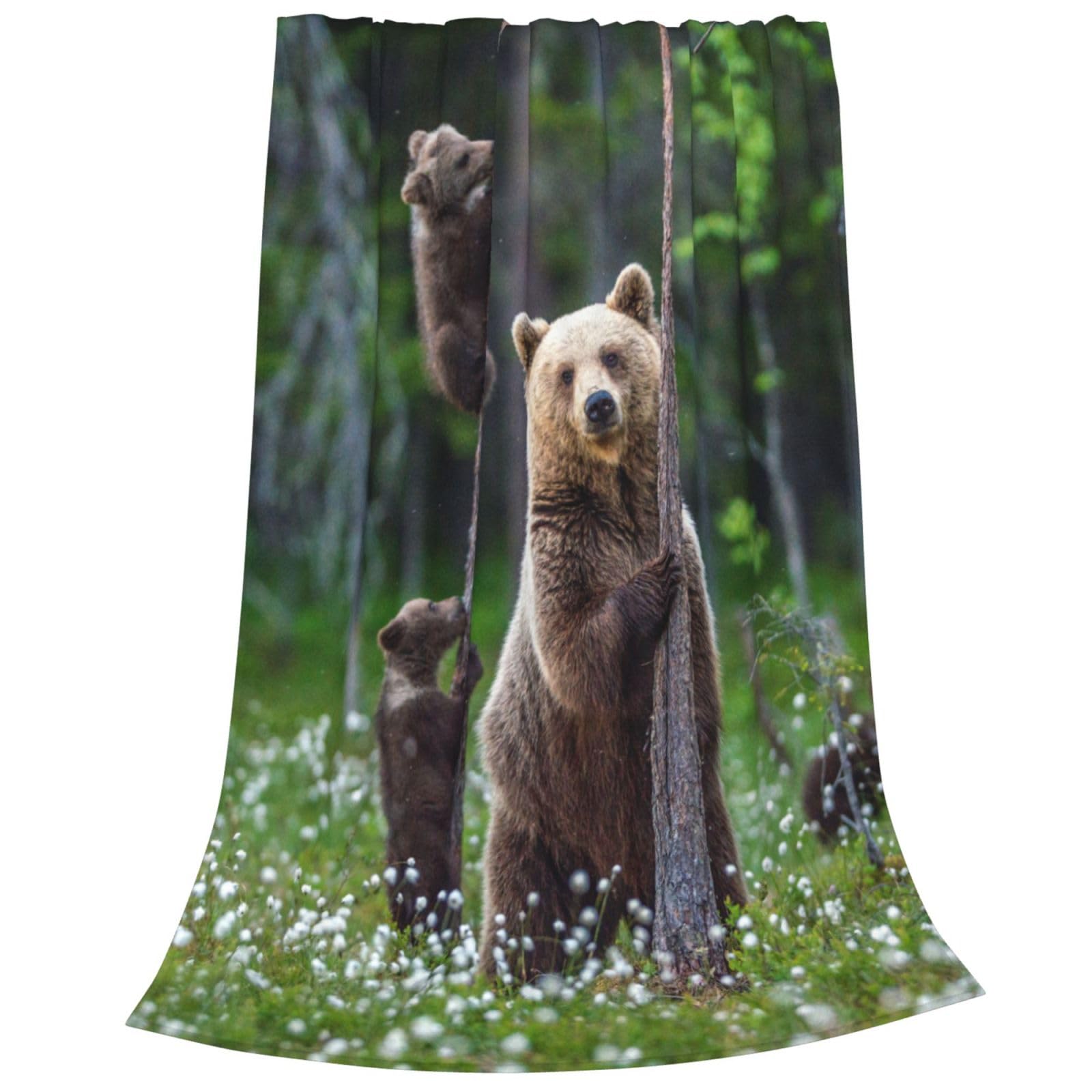 Bärendecke Aus Weichem Plüsch – 152 X 127 Cm, Leicht, Warm & Gemütlich, Als Überwurf Für Sofa, Bett Oder Als Geschenk