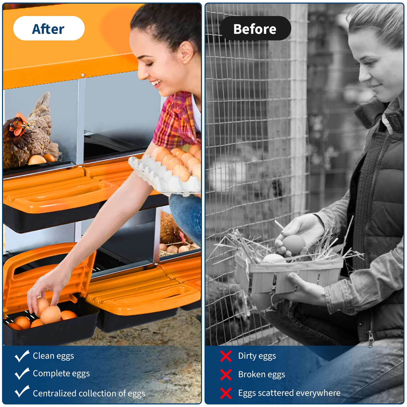 Caja de Anidación Resistente para Gallinas, 6/8 Compartimentos de Acero Galvanizado Antióxido, Tapa Extraíble, Fondo Inclinado (Naranja, 8 Compartimentos - Estructura De Soporte)