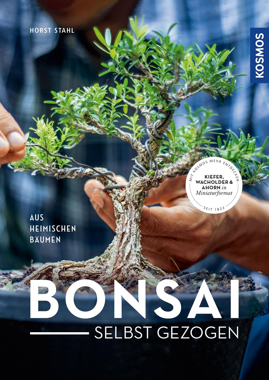 Bonsai selbst gezogen: - aus heimischen Bumen : Stahl, Horst, Rger,  Helmut: Amazon.de: Bcher
