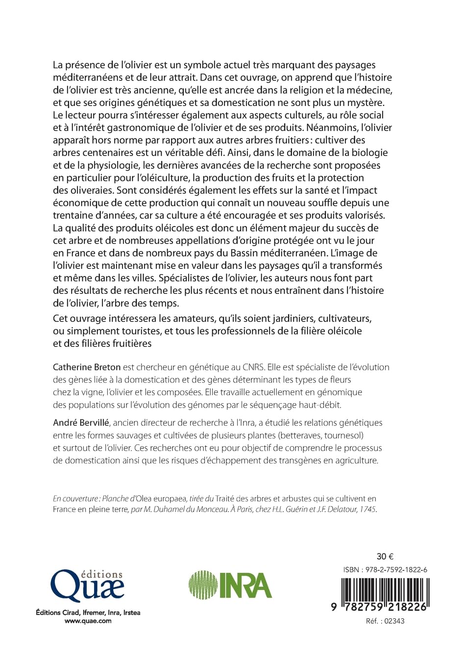 Histoire de l'olivier