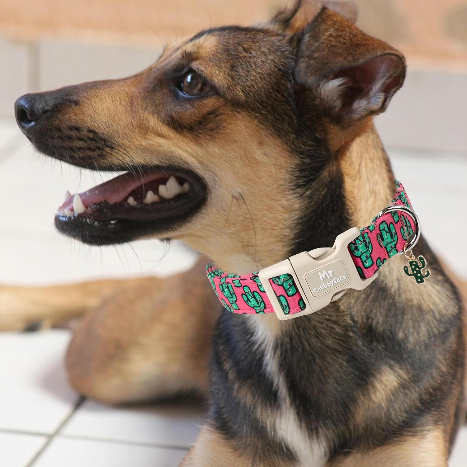 ·MR.CHUBBYFACE· Summer Pink Cactus Dog Collar for X-Small Dogs image 5