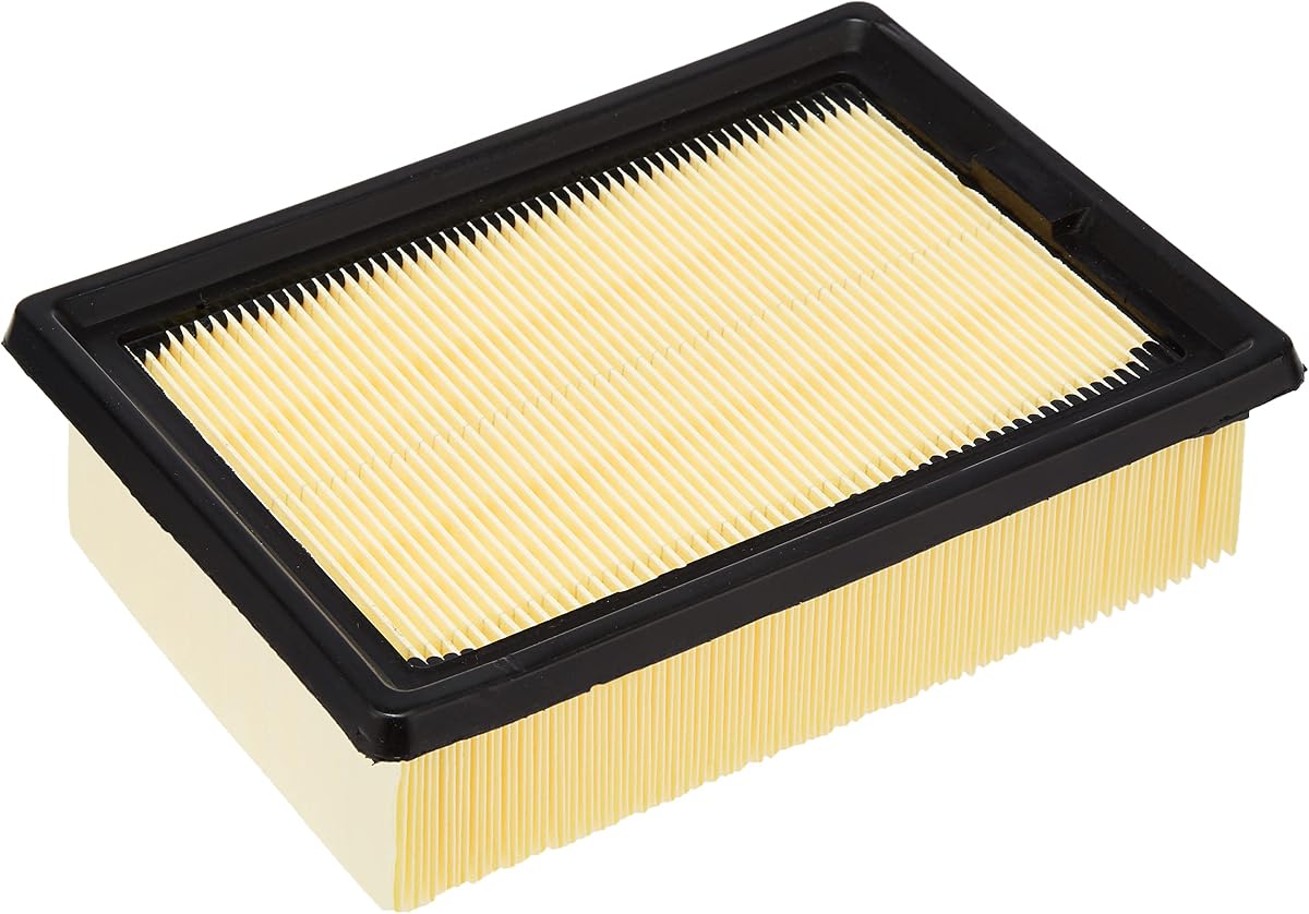 ECOGARD XA6199 Premium Engine Air Filter | Fits 2013-2019 Ford Escape 2.5L; 2014-2022 Transit Connect 2.5L