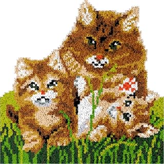 Latch Hook Kits Rug for Adults Cat Families Latch Hook kit Cushion Tapestry with Printed Canvas Craft Kits Crochet Needlework for Beginners DIY Latch Hook Mat Home Decoration 52x38cm