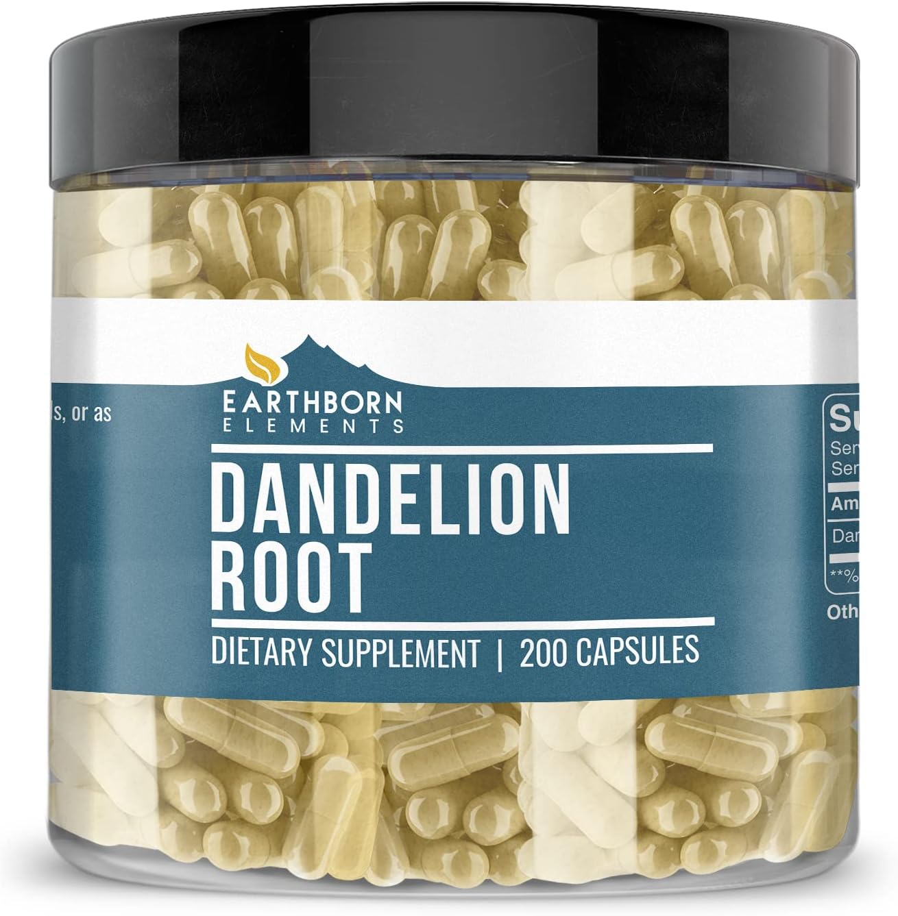 Amazon.com: Futurebiotics Dandelion Root 1500 MG per Serving ...