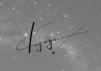 予約特典・サイン本】Starry Nights──The Best of the Best