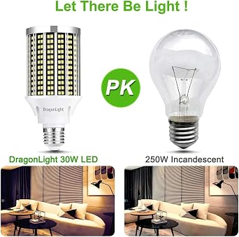 DragonLight 30W Super Bright LED Corn Light Bulbs(250 Watt Equivalent) - E27 Base LED Bulbs - 3000K Warm White 3600 Lumens for Large Area Lighting [Twin Value Pack] [Energy Class C]