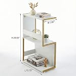 Narrow End Table for Small Spaces - Slim Side Table, S Shape Design Narrow End Tables Living Room,Skinny Bedroom Nightstand Thin Side Magazine Bookshelf (Champagne Gold)