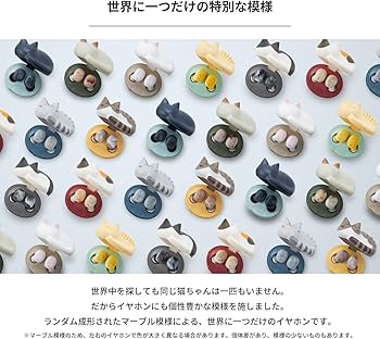 Amazon.co.jp: ラディウス radius HP-C28BT 完全ワイヤレス