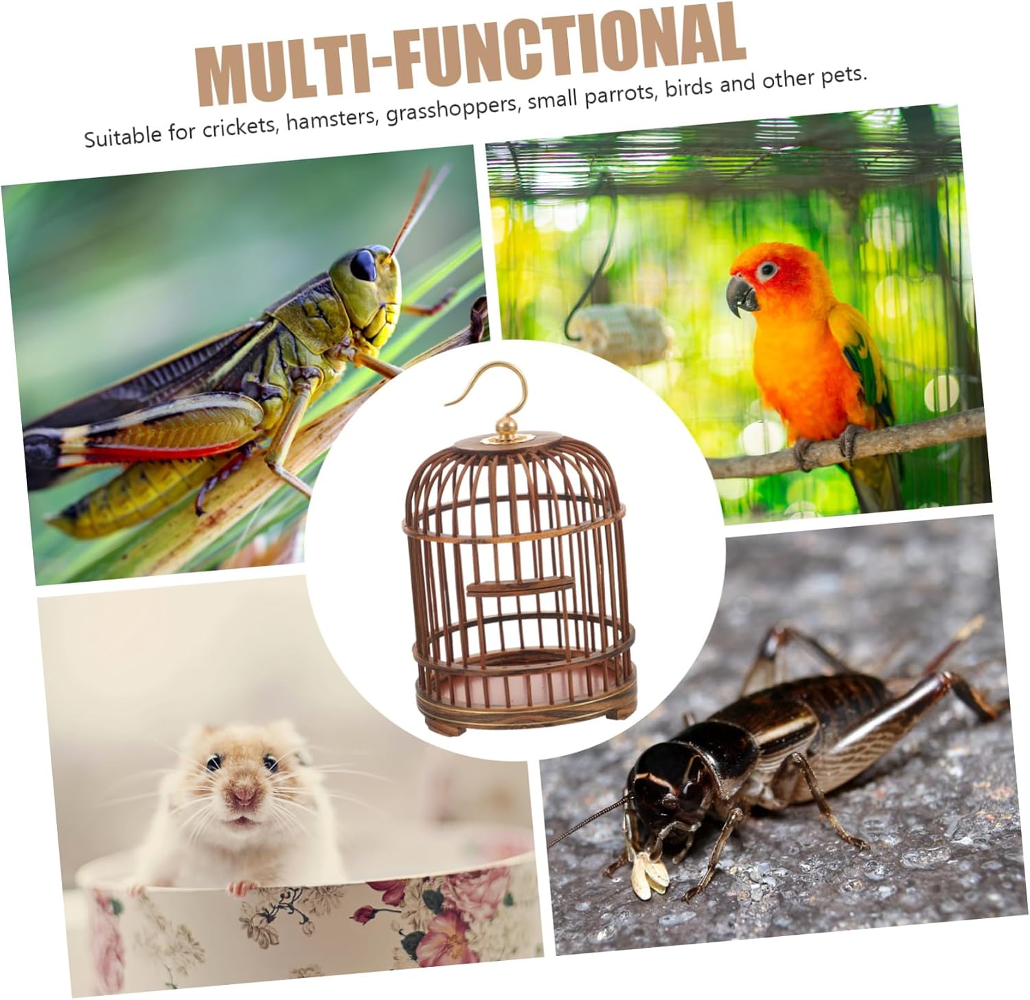 Wooden Birdcage Multi-Purpose Cage for Crickets Small Birds Large Door