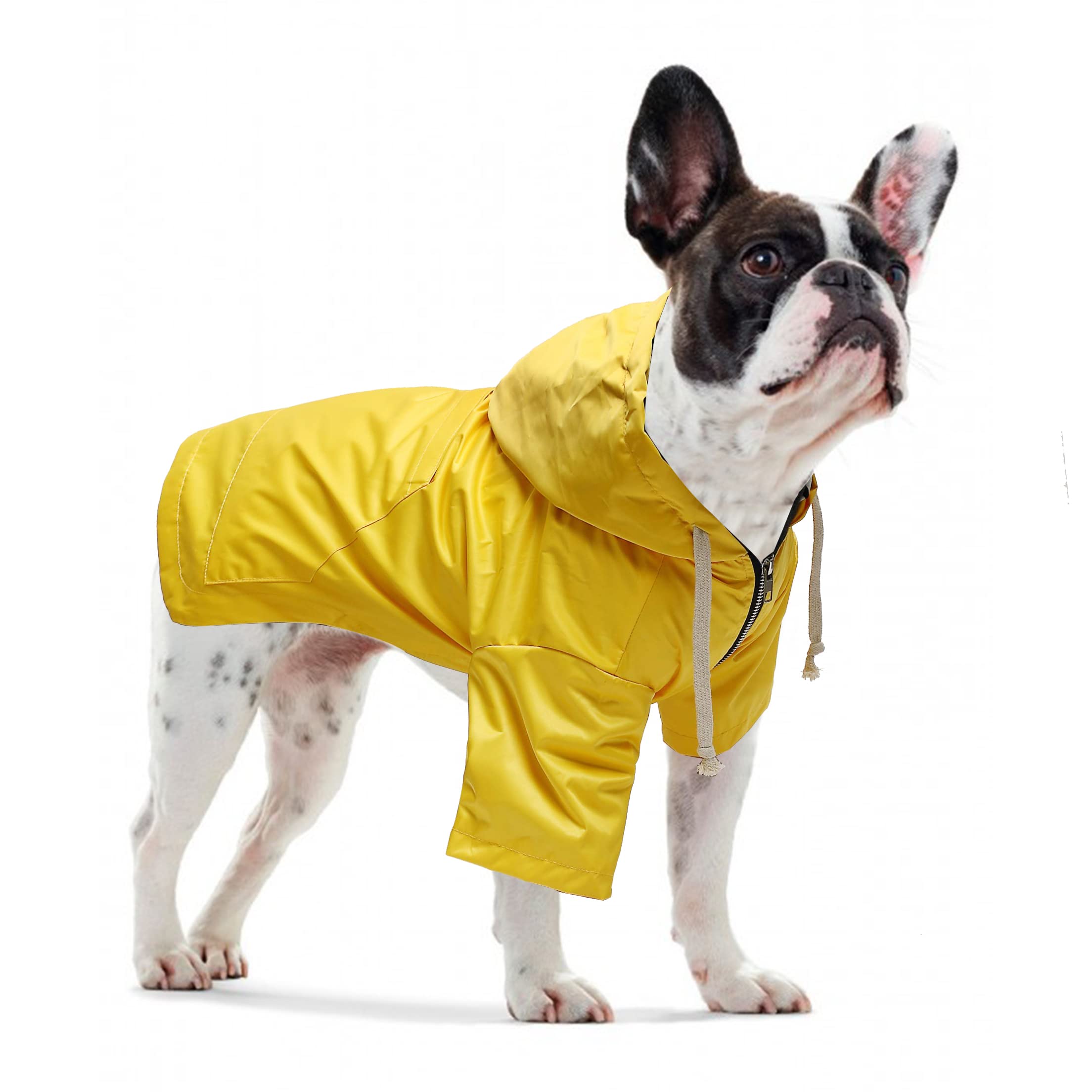 Pethiy-Capuche Manteaux imperméables pour Chiens, Chien Manteau de Pluie avec Fermeture éclair e Poches, Imperméable vêtements de Chien avec Cordon réglable,pour Chiot Petite Moyenne Chien-Jaune-S
