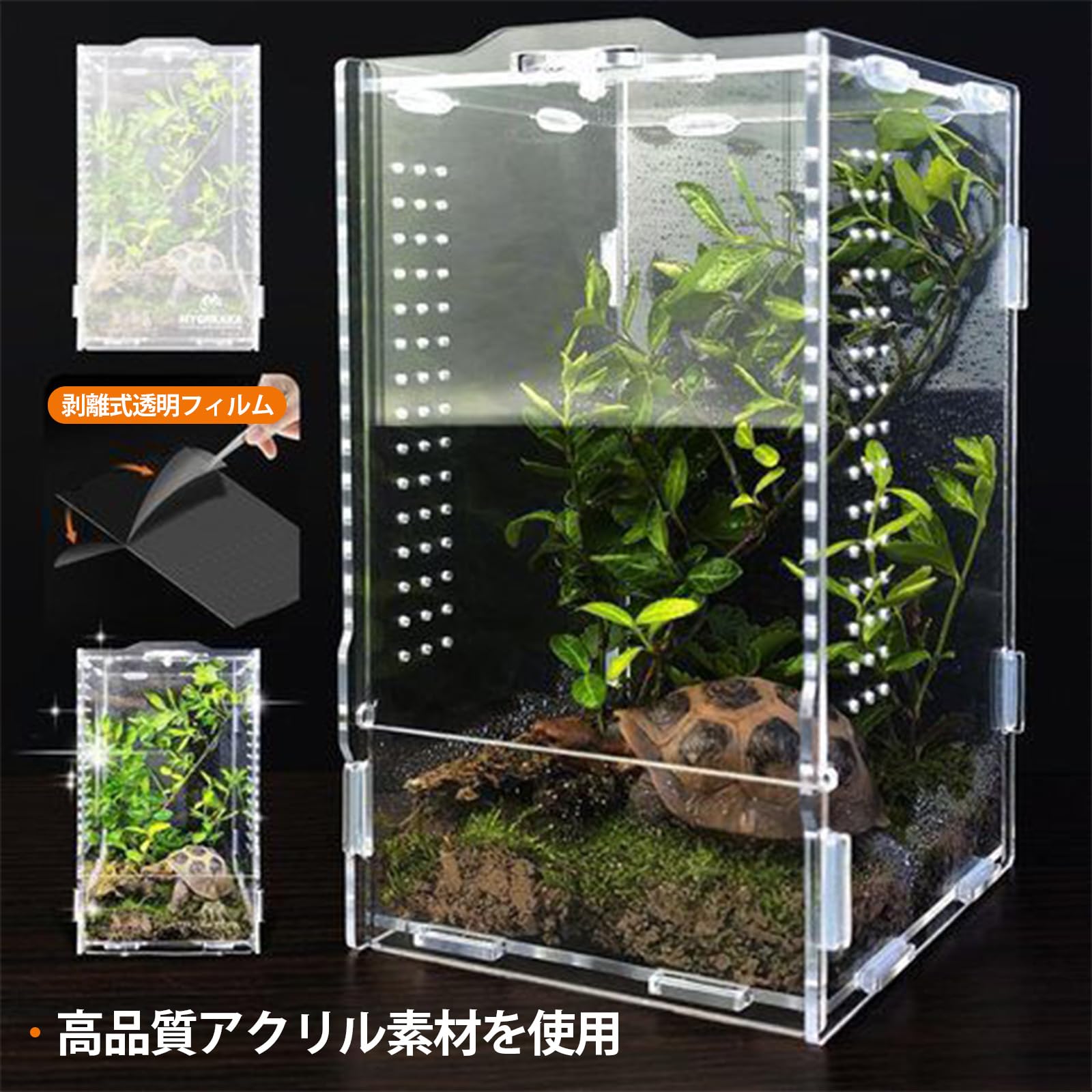 Amazon | Ahgwiu 爬虫類 シェルター レプタイル ボックス ヒョウモン