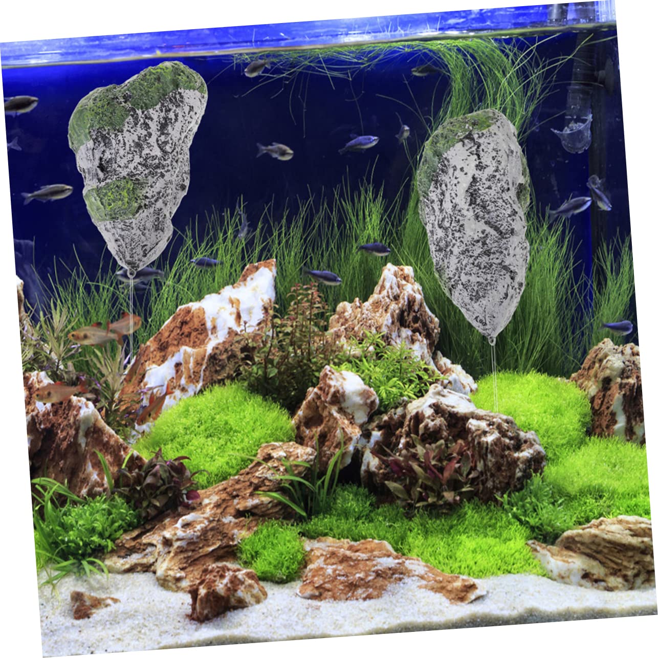 Amazon.co.jp: PATKAW 人工苔石 浮遊岩礁 水族館浮石 ホーム