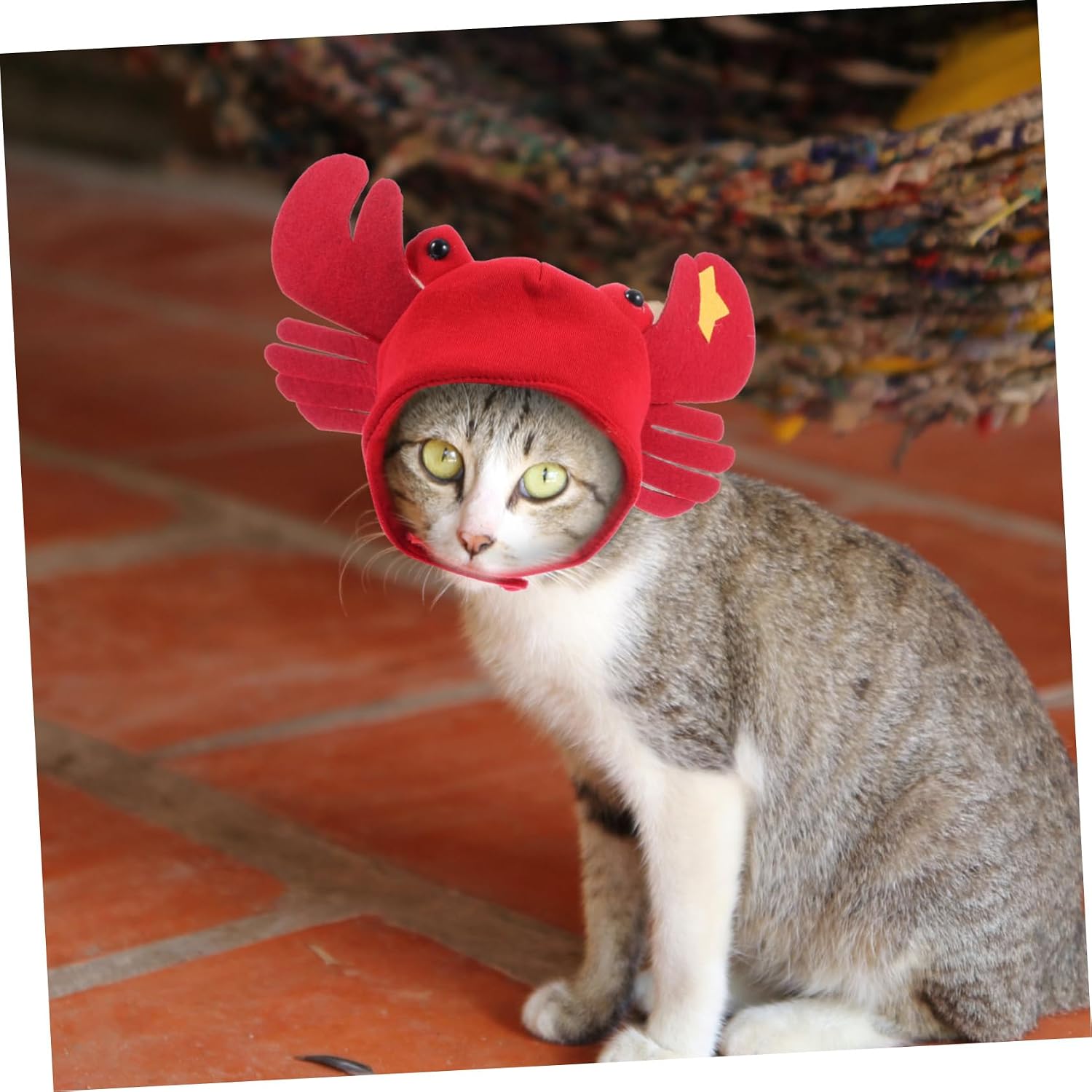 Toyvian 1Pc Crab Shape Pet Hat Warm Headdress for Cats Dogs Accessory for Parties Christmas and Holidays Lightweight Comfortable Pet Headgear image 3