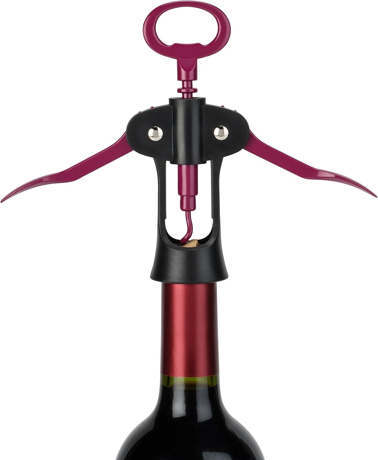 True Flyboy: Winged Corkscrew in Berry & Black, One Size, Multi Colored