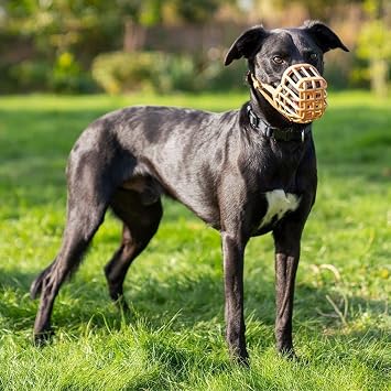 Company of Animals Baskerville Dog Mouthpiece, Size 10