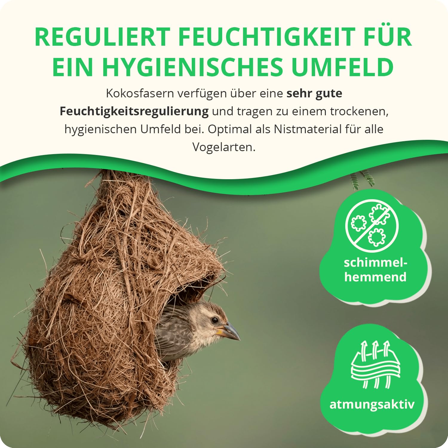 10x500g Kokosfasern als Nistmaterial für Vögel & Kleintiere | 100% natürliche Kokosfaser zum Nestbauen, für Tunnel- und Gangbau – staubarm, weich und vielseitig einsetzbar