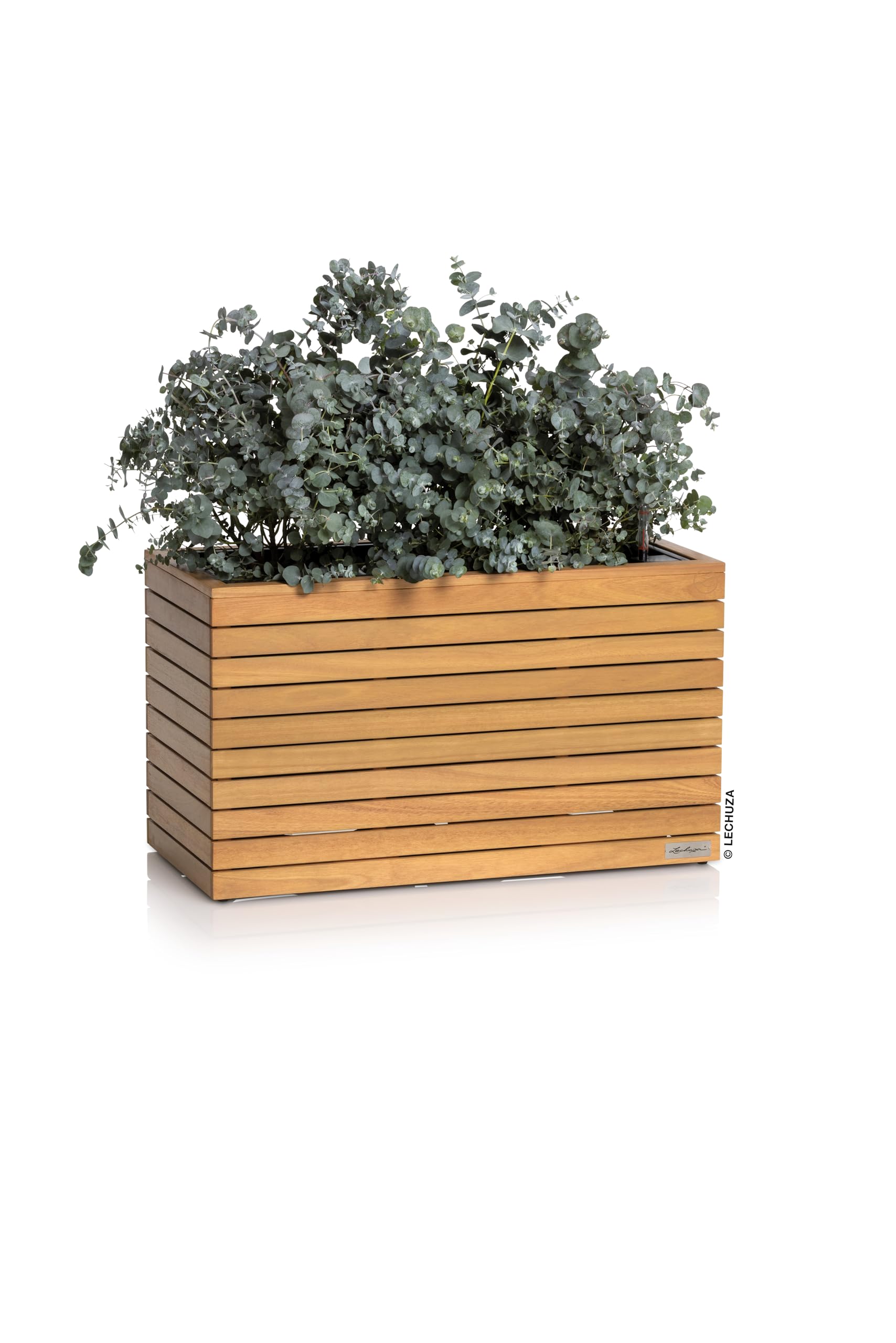 LECHUZA-Pflanzgefäß PALO Natural Wood 80 Wide Low Eukalyptusholz, Pflanzgefäß mit Bewässerungssystem, Wasserstandsanzeiger und Pflanzeinsatz, Echtholz-Oberfläche, 78,5 x 37 x 46 cm, 16774