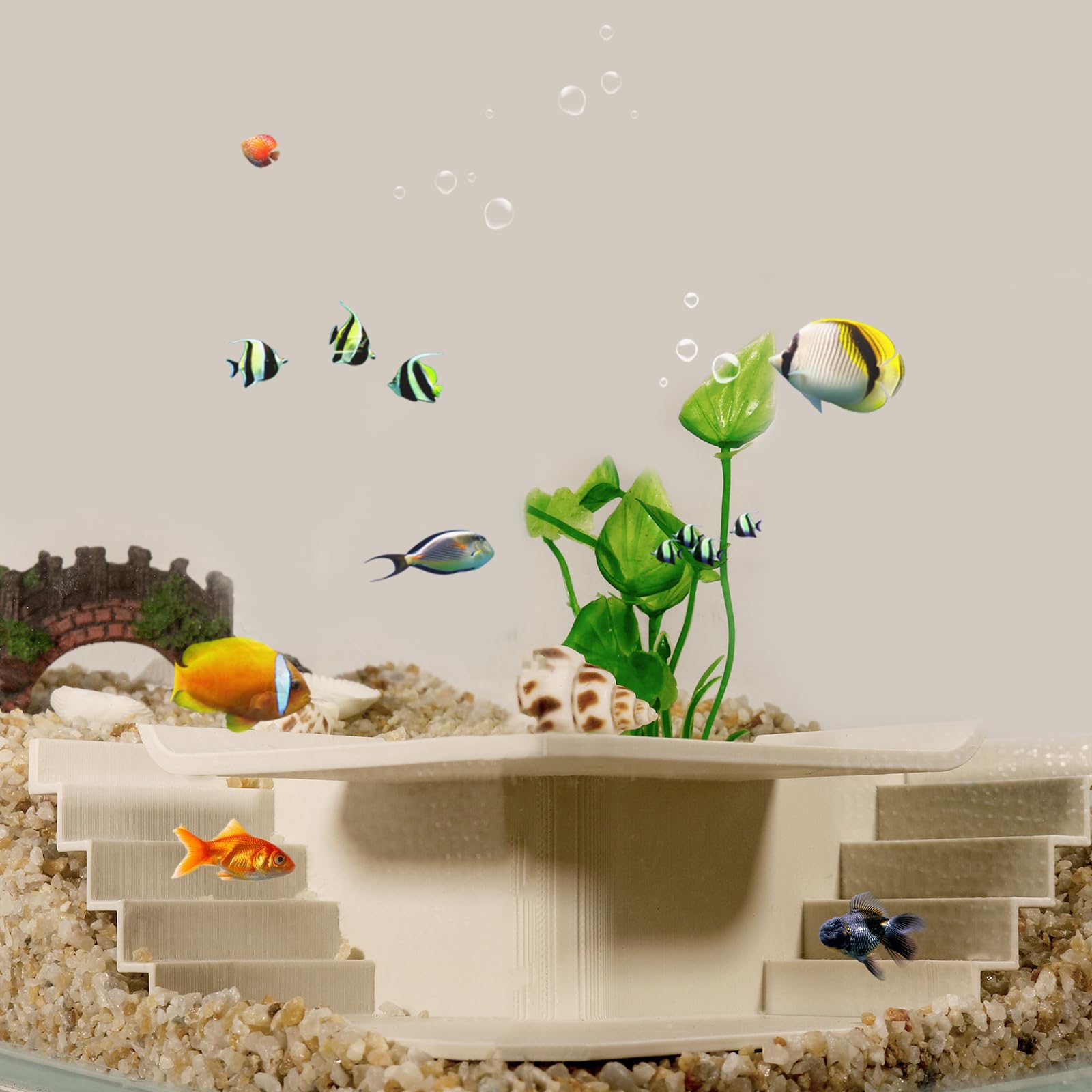 Amazon.co.jp: Toileum 水槽用魚の隠れ家 エビの隠れ家 水槽トンネル