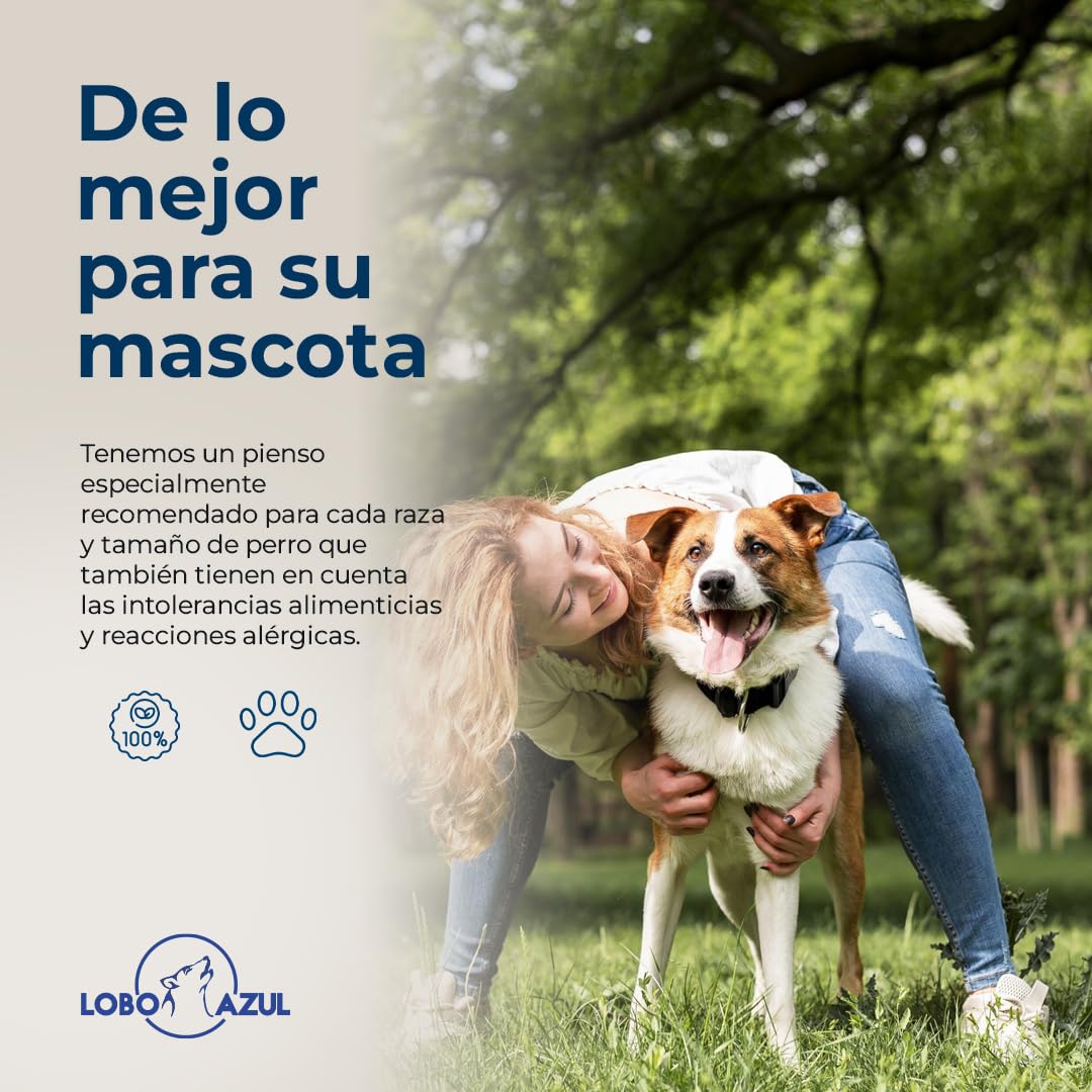 Pienso Super Premium Buey - Alimento para Perros Adultos con Buey, Pollo, Salmón, Atún y Aceite de Salmón - Natural - Sin Gluten - Actividad Alta - Lobo Azul